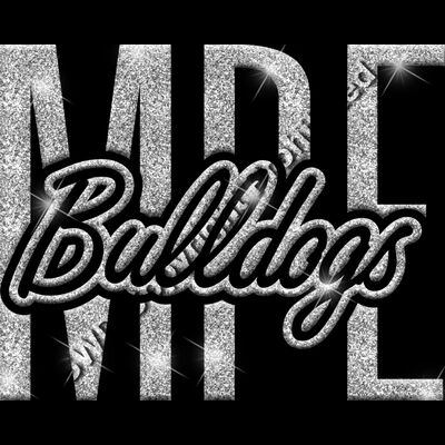 GLT95 SILVER GLITTER Thumbnail