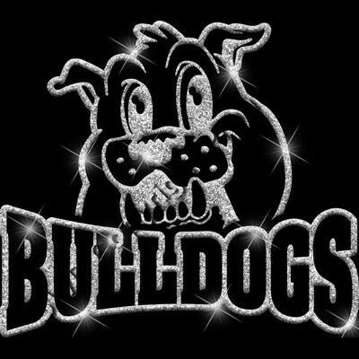 GLT32 SILVER GLITTER Thumbnail