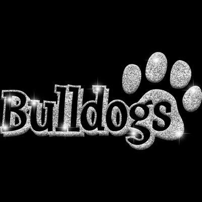 GLT17 SILVER GLITTER Thumbnail